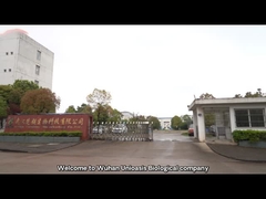Introduzione della società di tecnologia biologica di Wuhan Unioasis