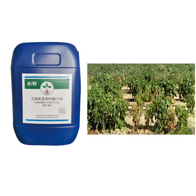Improve Yield Quality Fungicide Prevent Chlorosis Stiff Seedlings 300 Times Irrigation Rootor Leaf Spray cy30 