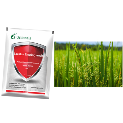 Bacillus Thuringiensis Pure Powder Product Wide Agriculuture Use Rice Pesticide