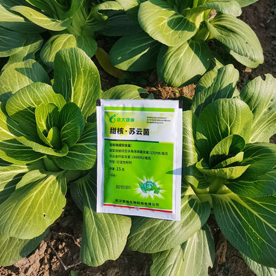 Powder Pesticide Spodoptera Kitura Killer for Tomato Bean Cauliflower Cabbage SeNPV Bt