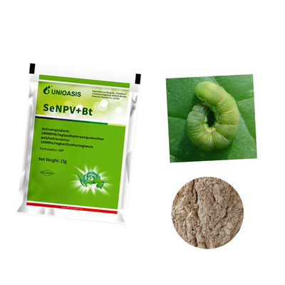 Organic Insecticide SeNPV Powder with Organic Certification Targets Spodoptera Exigua Safe for Vegetables