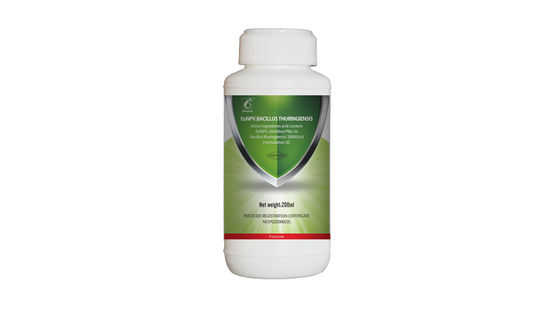 Lepidoptera Geometridae Pests Killer Tea Lesser Leafhopper Geometrid Organic Tea Plant Pesticide