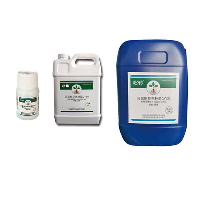 Bactericide Promote New Bud Germination Prevent Tea Grey Blight 300-500 Times Leaf Spray Bacillus velezensis 