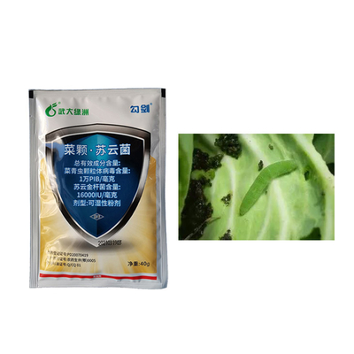 Efficient Biopesticides Organic Vegetable Cabbage Beet Armyworm Killer Insecticide  PrGV WP