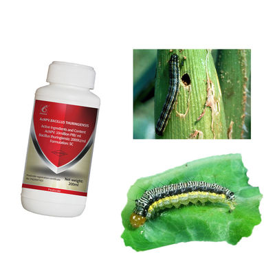 Pure natural ingredients organic agricultural pesticide Cruciferous Vegetables Pests Killer AcNPV