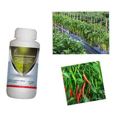 Organic Certified Natural Vegetable Insecticides with 10 Million PIB/mg PrGV 0.2% Bt to Eliminate Harmful Pests