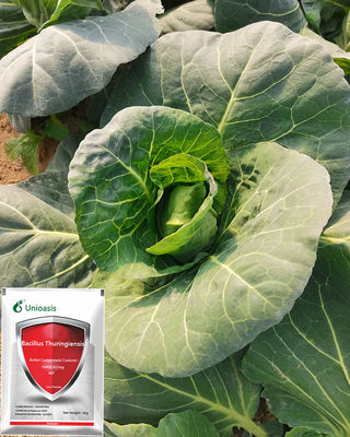 High quality biological pesticide factory WP agriculture pests killing BT long validity